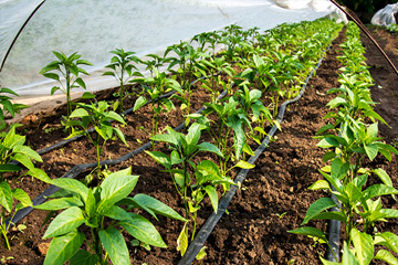 Agricultural irrigation winnipeg